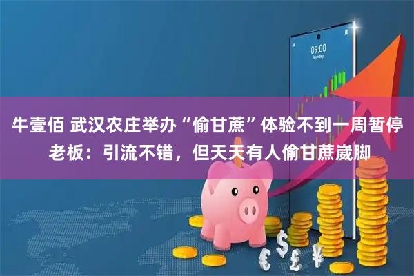 牛壹佰 武汉农庄举办“偷甘蔗”体验不到一周暂停 老板：引流不错，但天天有人偷甘蔗崴脚