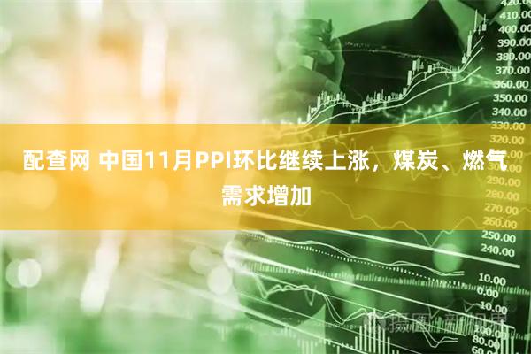 配查网 中国11月PPI环比继续上涨，煤炭、燃气需求增加